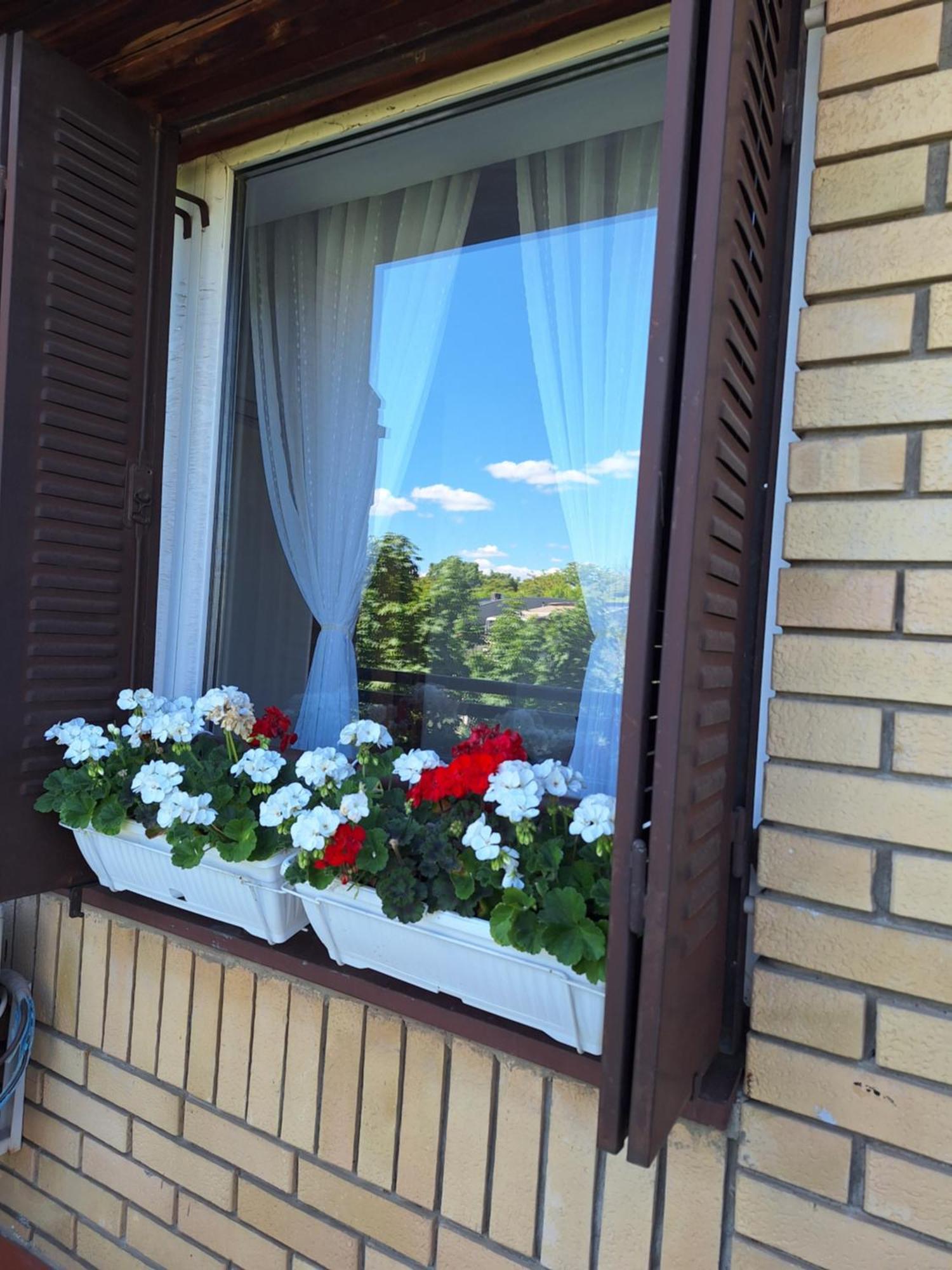 Rivijera Green Beograd Ngoại thất bức ảnh